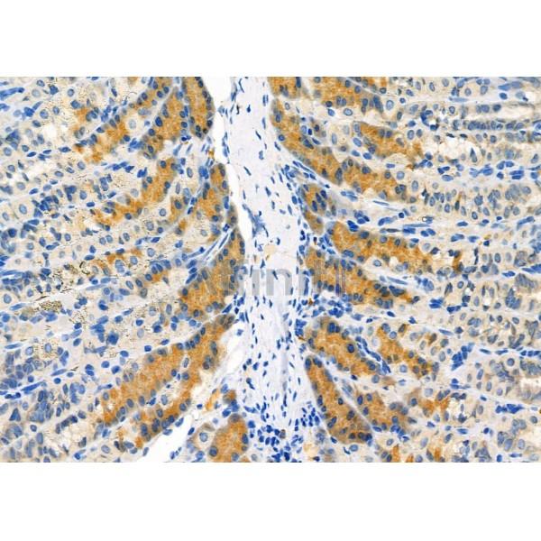 Валидация Affinity DF7288 - 18964