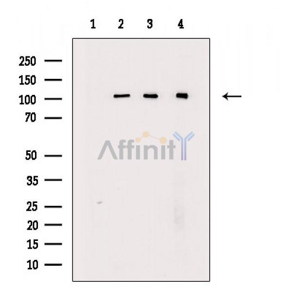 Валидация Affinity DF6840 - 18409