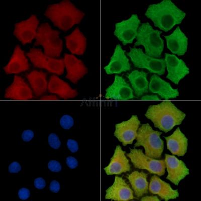 Валидация Affinity DF15073 - 11308