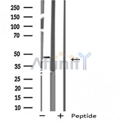 Валидация Affinity DF4912 - 16718