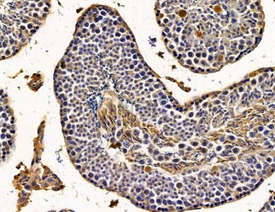 Валидация Affinity DF14775 - 10869