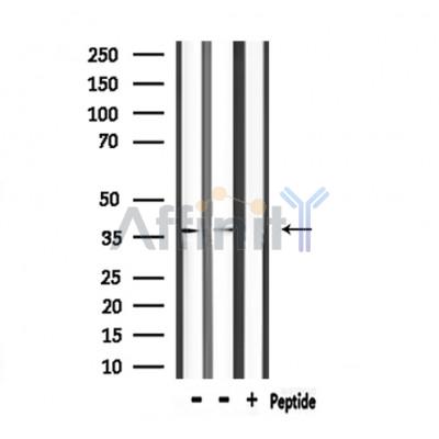 Валидация Affinity DF6580 - 18018