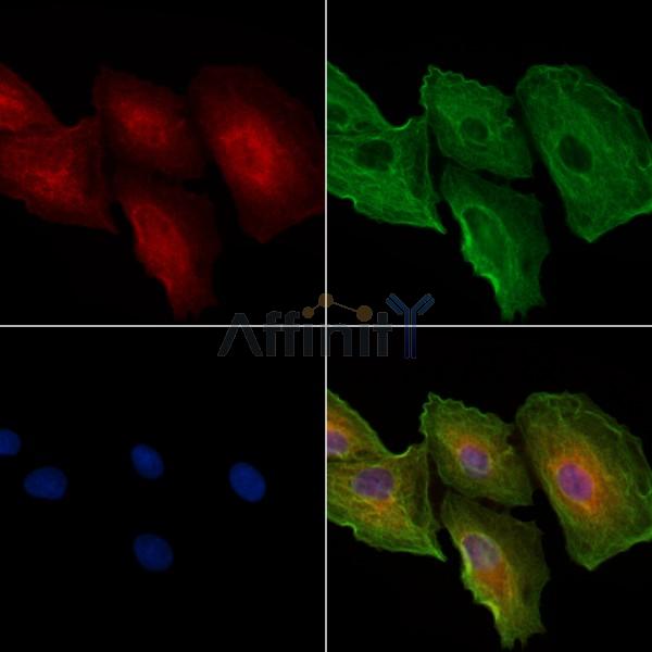 Валидация Affinity DF3525 - 14460