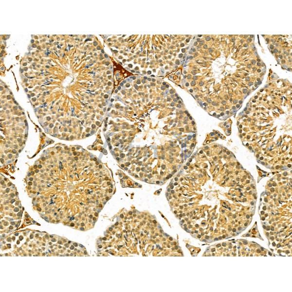 Валидация Affinity DF12229 - 6520