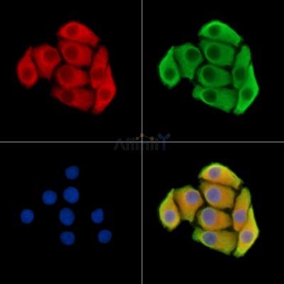 Валидация Affinity DF15055 - 11280