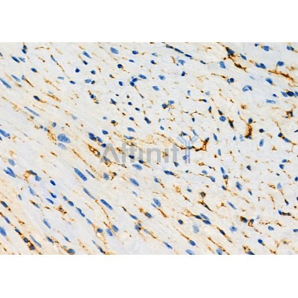 Валидация Affinity DF7649 - 19416