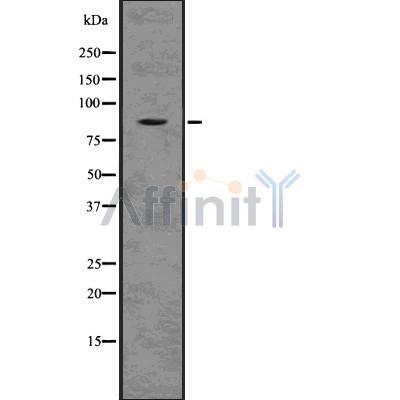 Валидация Affinity DF7535 - 19283