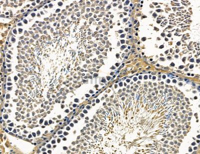 Валидация Affinity DF15708 - 12176