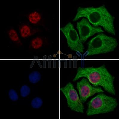 Валидация Affinity DF13624 - 9148