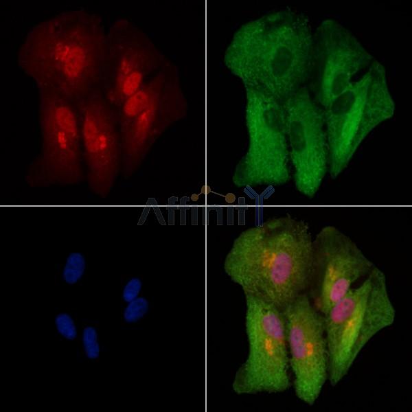 Валидация Affinity DF9001 - 21211