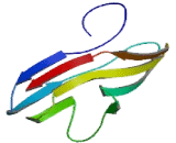 Sialic Acid Binding Ig Like Lectin 2 (SIGLEC2) Sialic Acid Binding Ig Like Lectin 2 (SIGLEC2)