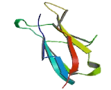 Advanced Glycosylation End Product Specific Receptor (AGER)