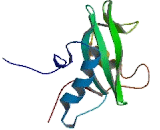 SH3 Domain Binding Protein 2 (SH3BP2) SH3 Domain Binding Protein 2 (SH3BP2)