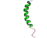 G Protein Coupled Estrogen Receptor 1 (GPER) G Protein Coupled Estrogen Receptor 1 (GPER)