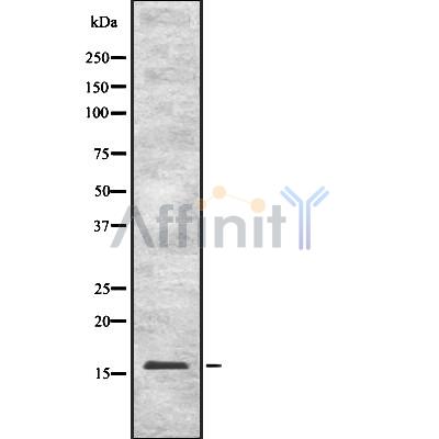 Валидация Affinity DF8771 - 20802