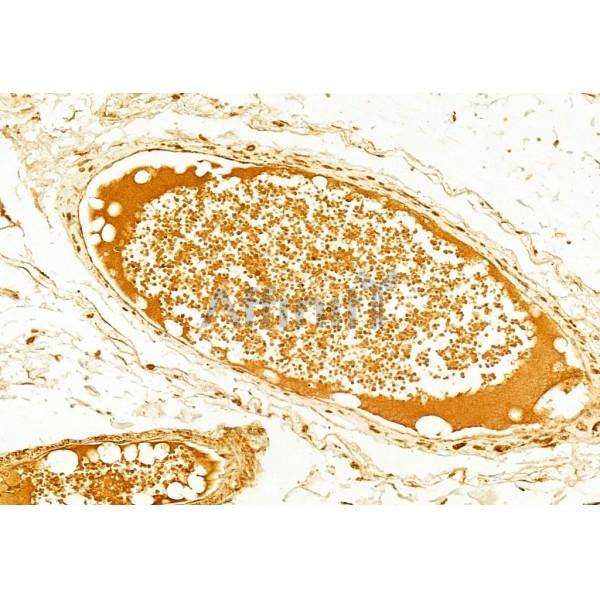 Валидация Affinity AF5301 - 2846