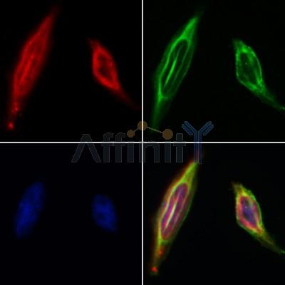 Валидация Affinity AF5136 - 2523