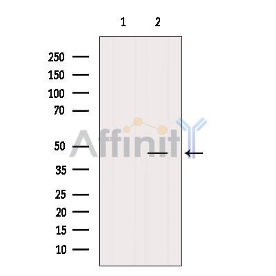 Валидация Affinity DF6865 - 18443