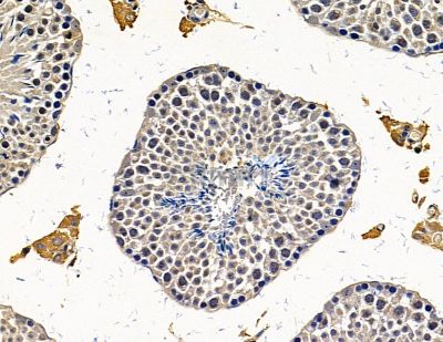 Валидация Affinity DF15371 - 11689