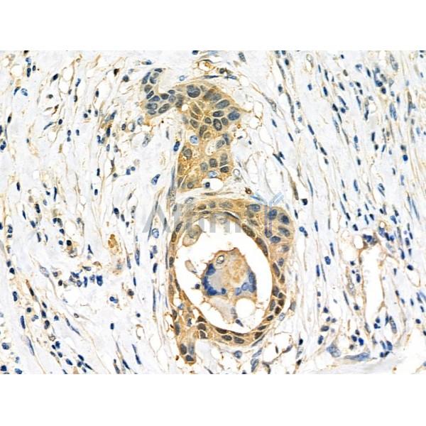 Валидация Affinity DF6404 - 17768