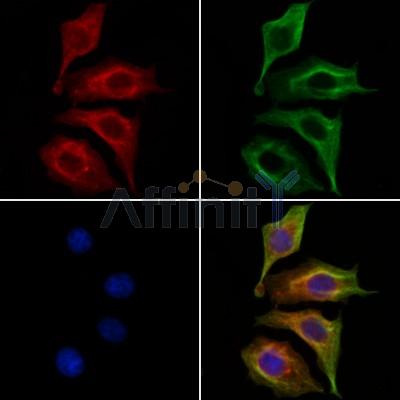 Валидация Affinity AF6009 - 3197