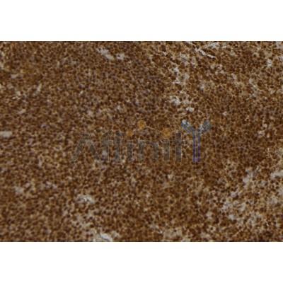 Валидация Affinity DF6527 - 17945