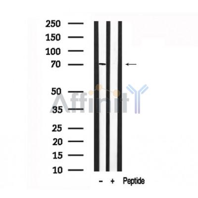 Валидация Affinity AF7617 - 4287