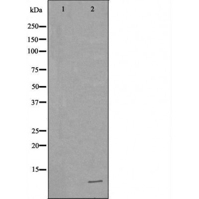 Валидация Affinity DF6619 - 18078
