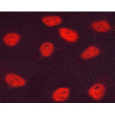 Валидация Affinity AF3469 - 1987