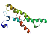 KDEL Endoplasmic Reticulum Protein Retention Receptor 3 (KDELR3) KDEL Endoplasmic Reticulum Protein Retention Receptor 3 (KDELR3)