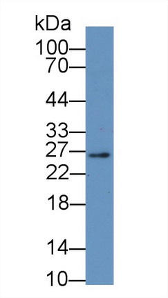 8663