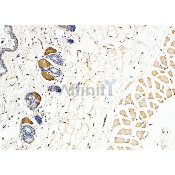 Валидация Affinity DF8444 - 20324