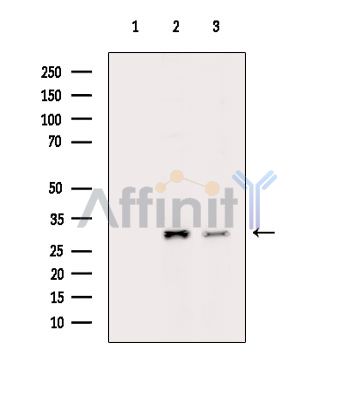 Валидация Affinity DF14639 - 10670