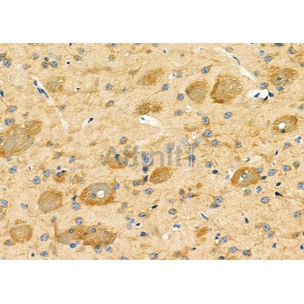 Валидация Affinity DF9610 - 22321