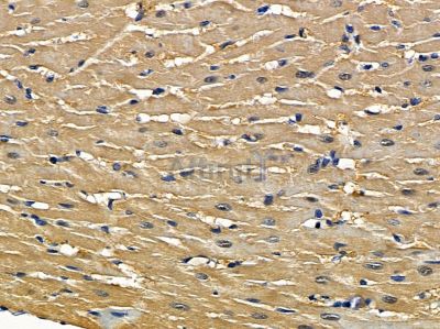 Валидация Affinity DF4448 - 15960