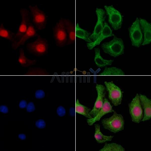 Валидация Affinity DF3350 - 14216