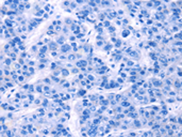 Валидация AssayVector ARM2302(3965)