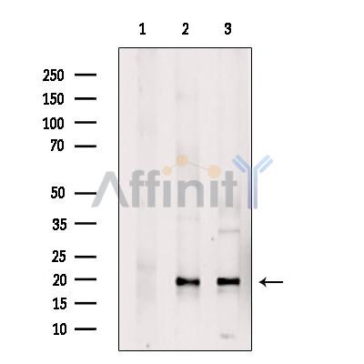 Валидация Affinity DF2366 - 12941