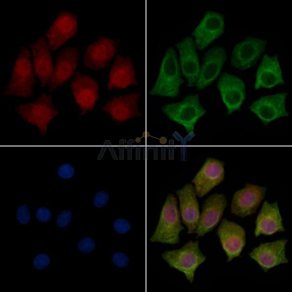 Валидация Affinity DF2254 - 12800