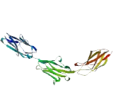 Cell Adhesion Molecule With Homology To L1CAM (CHL1) Cell Adhesion Molecule With Homology To L1CAM (CHL1)