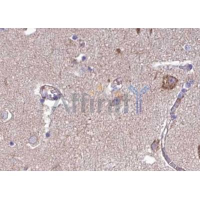 Валидация Affinity AF5209 - 2668