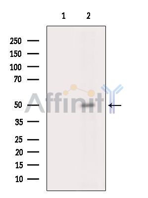 Валидация Affinity DF15773 - 12253