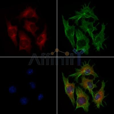 Валидация Affinity DF6304 - 17622