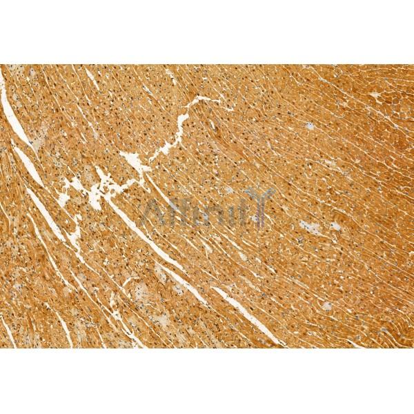 Валидация Affinity DF12071 - 6143