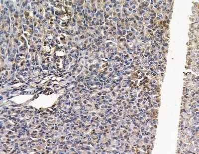 Валидация Affinity DF15877 - 12390