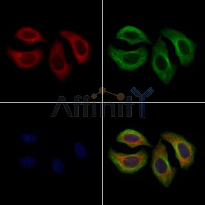 Валидация Affinity AF7926 - 4676