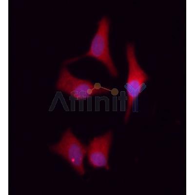 Валидация Affinity DF6373 - 17729