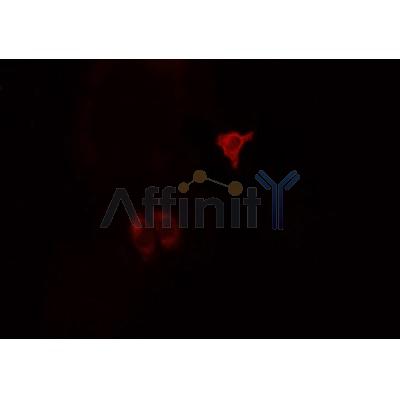 Валидация Affinity AF5139 - 2530