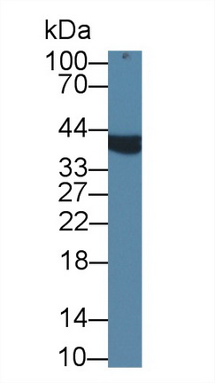 8846