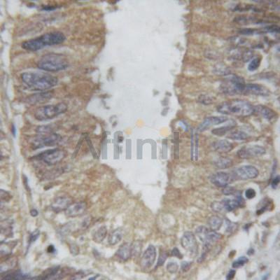 Валидация Affinity AF6329 - 3601